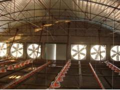 ؓ���L�C����